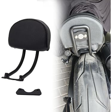 Amazon.co.jp 最新リリース: バイク用バックレスト の新着ランキングです。